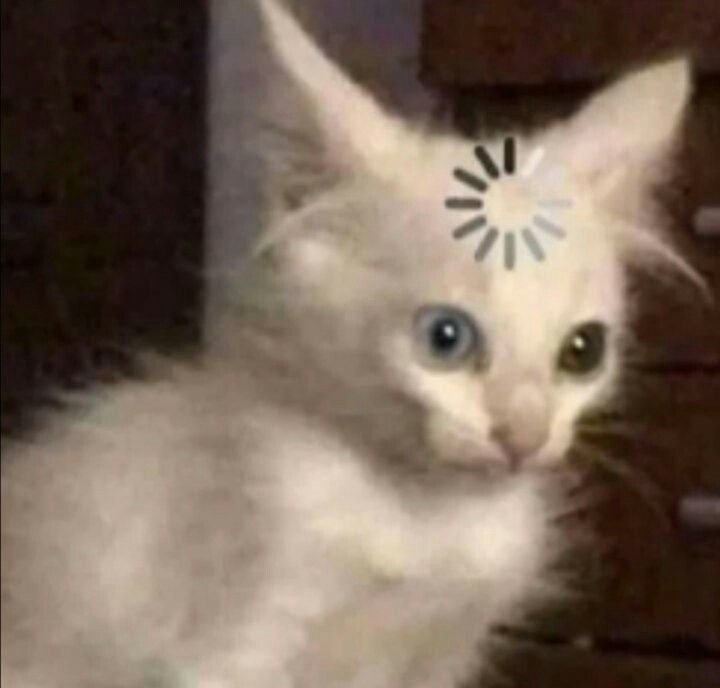 Swapped.com tweet media