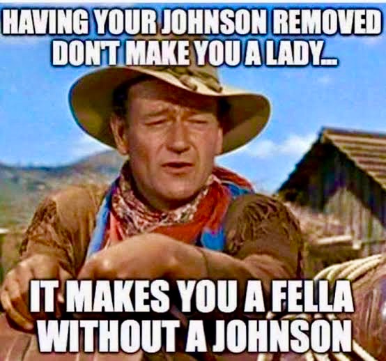 Donna OMeara tweet media