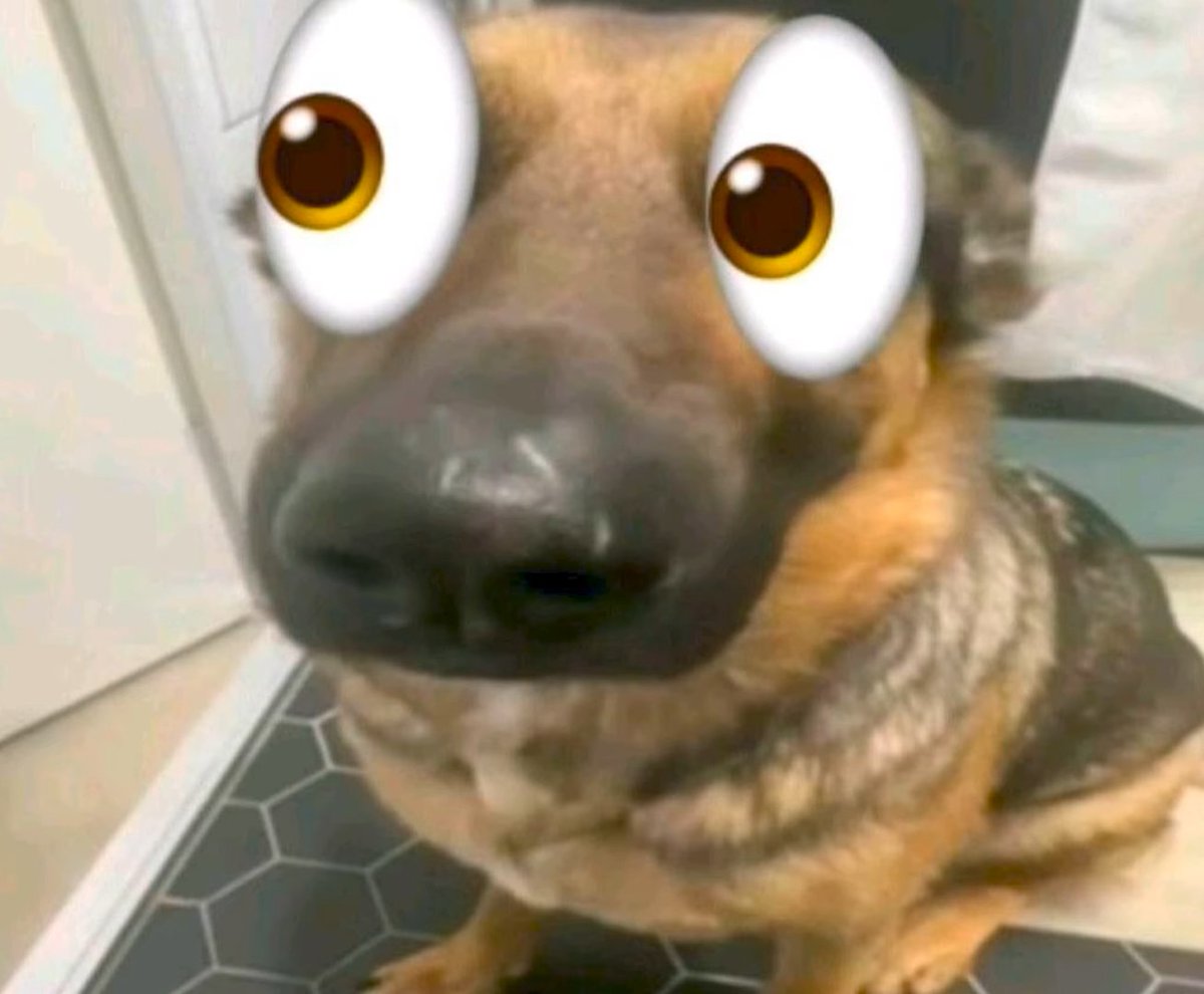 🩰५◦ 𝑨𝒏𝒈𝒆𝒍𝑫𝒐𝒍𝒍★ 𓂃 tweet media