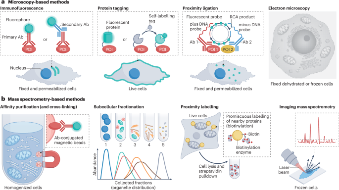 Nature Reviews Molecular Cell Biology tweet media