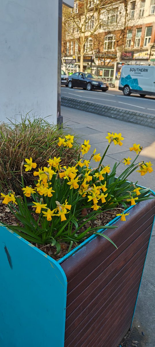 Robert Doyle tweet media