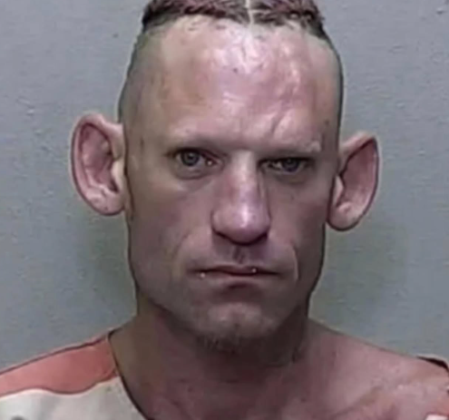 Dr. Clown, PhD tweet media