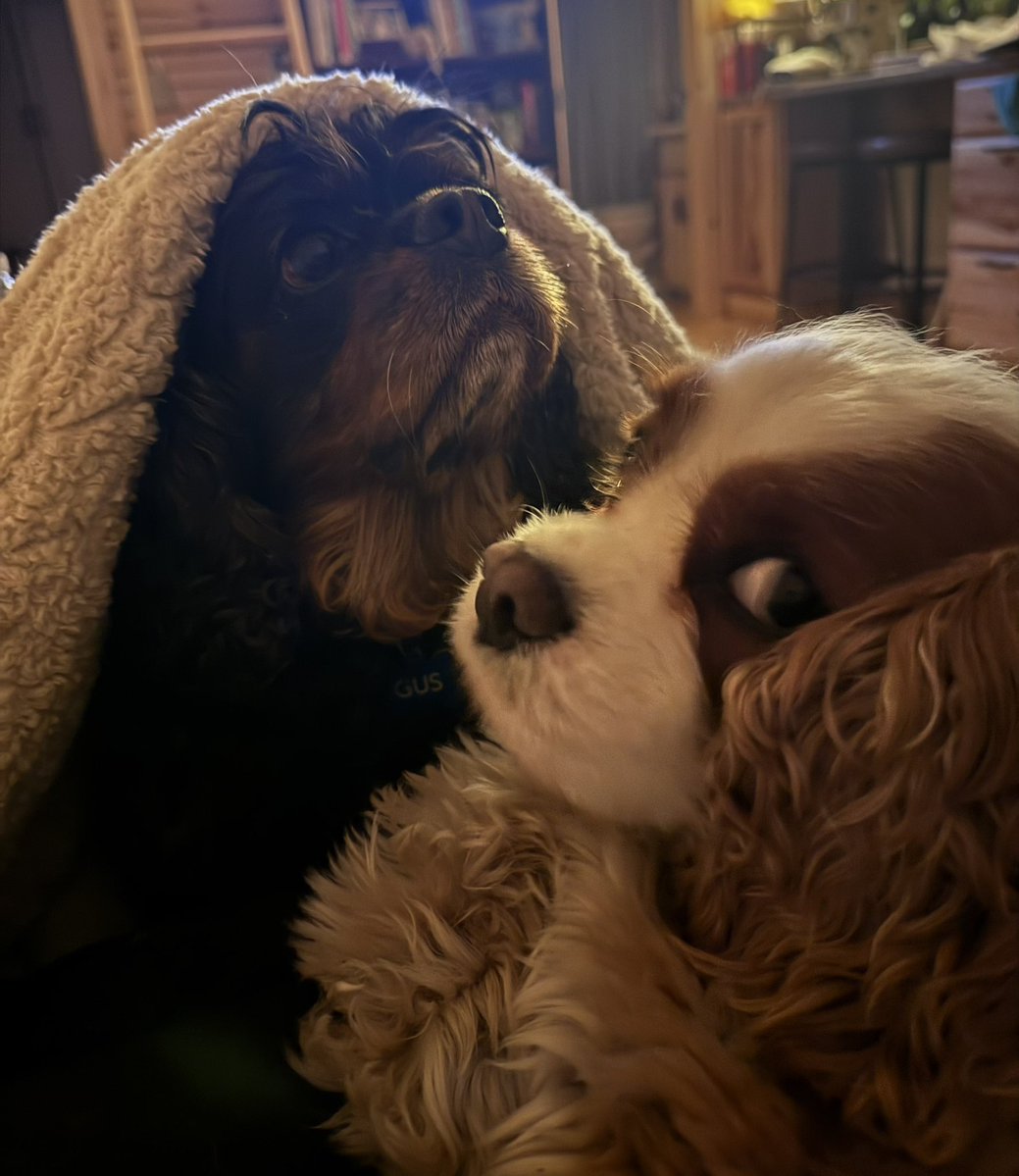 Rachel Feldman tweet media