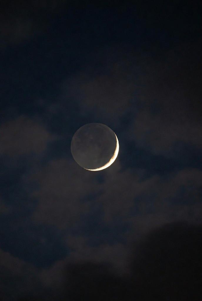 malv.in1 tweet media