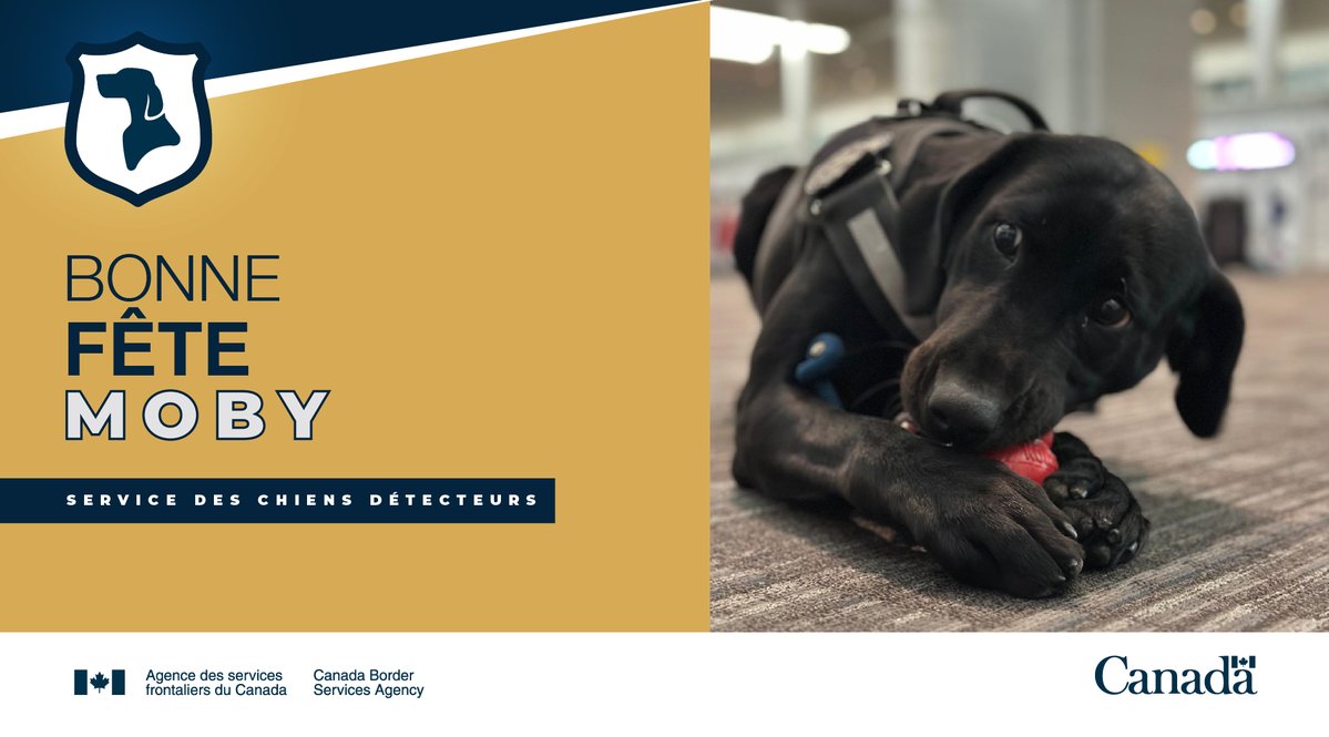 Serv frontaliers GT tweet media