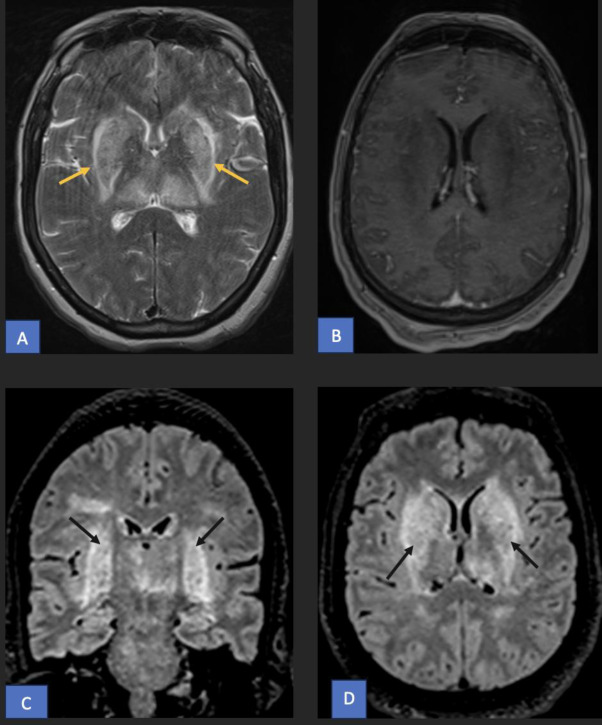 Doc Navarrow tweet media