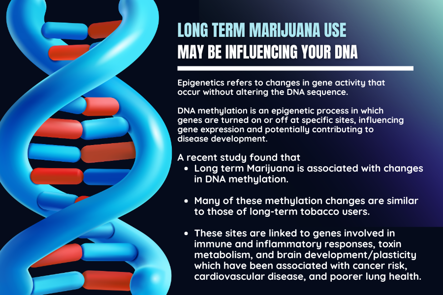 Intl. Academy on the Science & Impact of Cannabis tweet media
