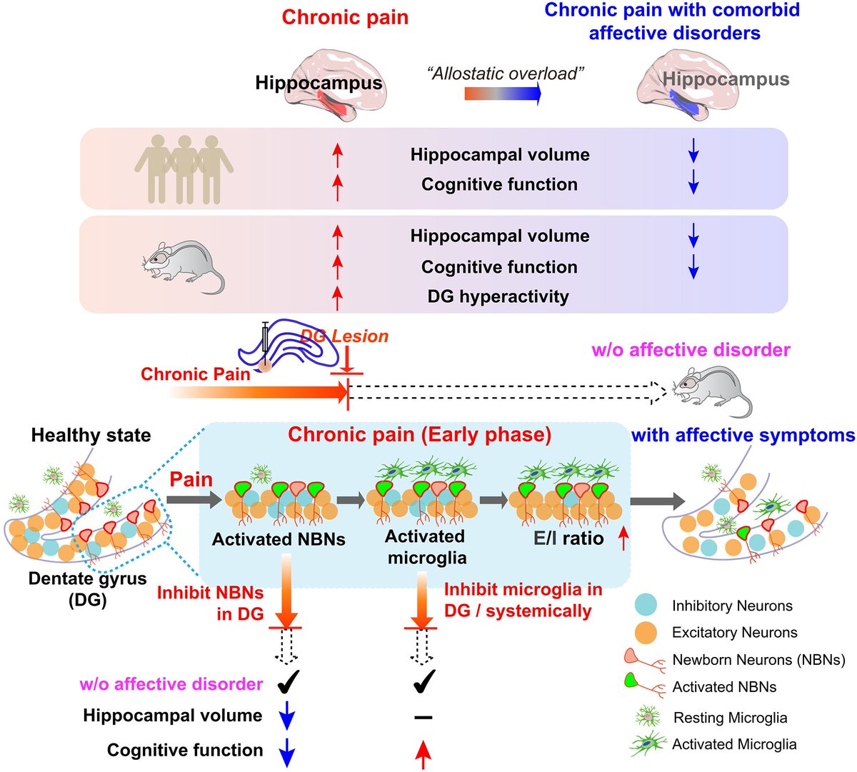 John Lukens tweet media