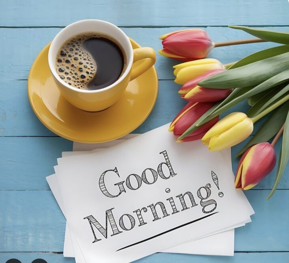 Ch Ameer tweet media