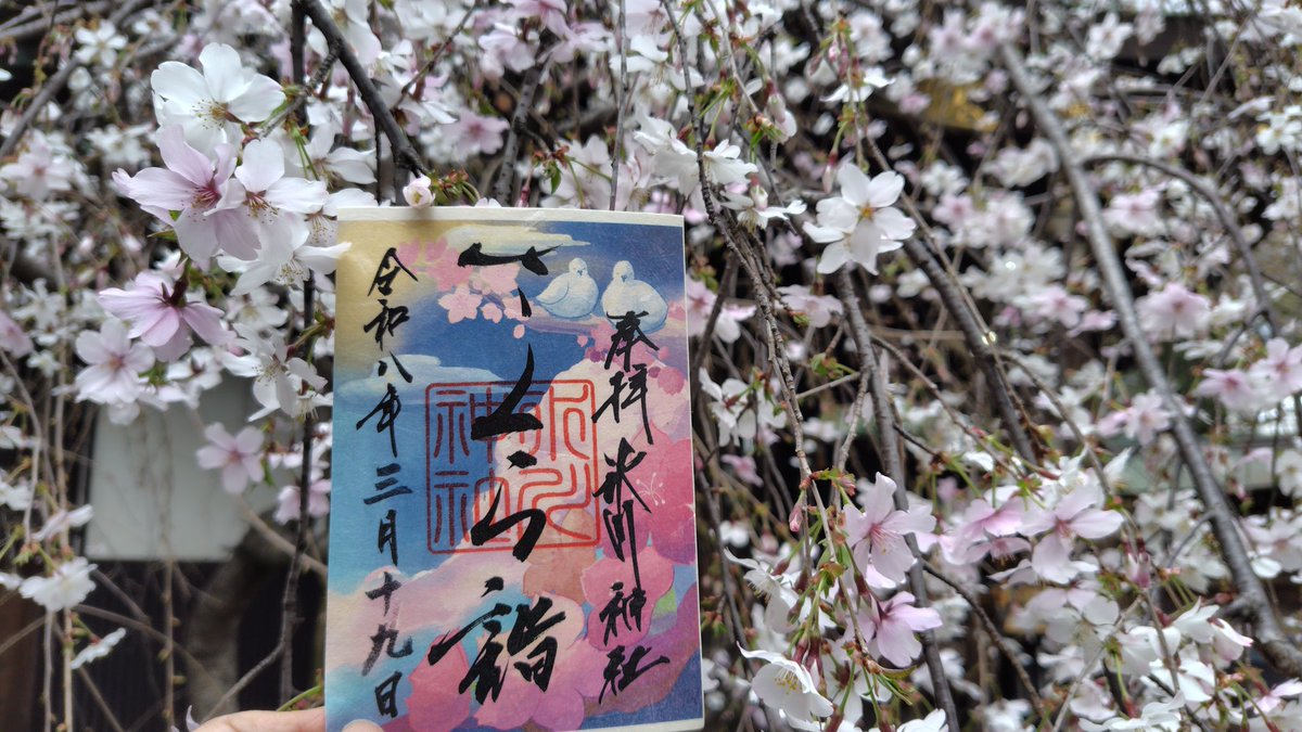 Latte3LOVE's tweet photo. 埼玉県に鎮座する
鳩ヶ谷氷川神社様へ
上がらせて頂きました⛩️
御神水が溢れる場所を見つけ
写真を撮ってたら。。。
バサバサバサ・なんと！鳩���ん🕊️が舞い降りて来ました😀
鳩ヶ谷にて鳩🕊️そして神社⛩️
歓迎されてます？
境内の枝垂れ桜が満開で綺麗🌸　いつも有難う　感謝🌸 https://t.co/sSj0PXWiH9