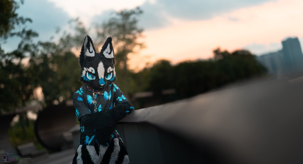 星效-Vulptex tweet media