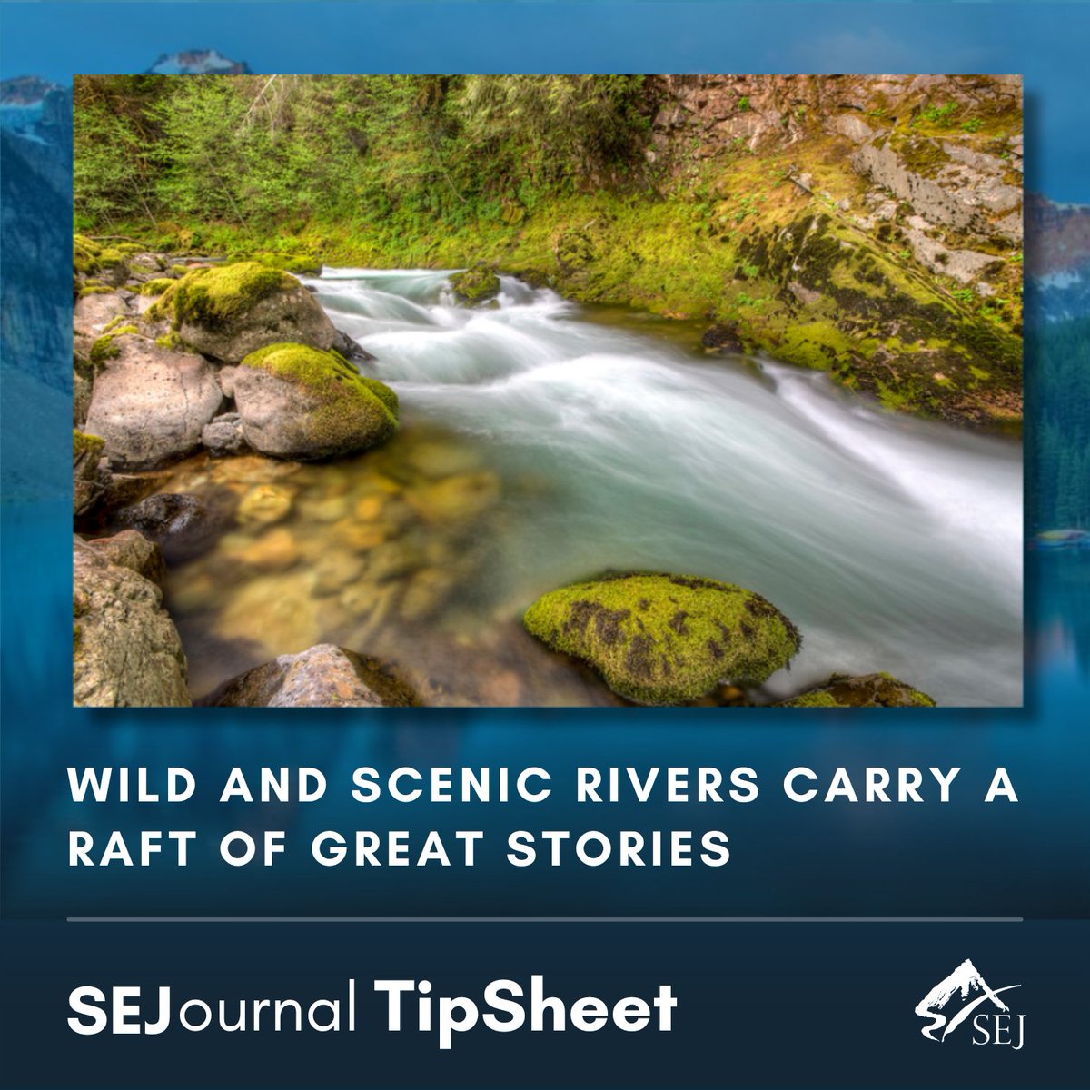 Society of Environmental Journalists (SEJ) tweet media