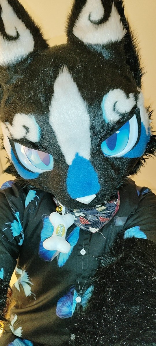 星效-Vulptex tweet media