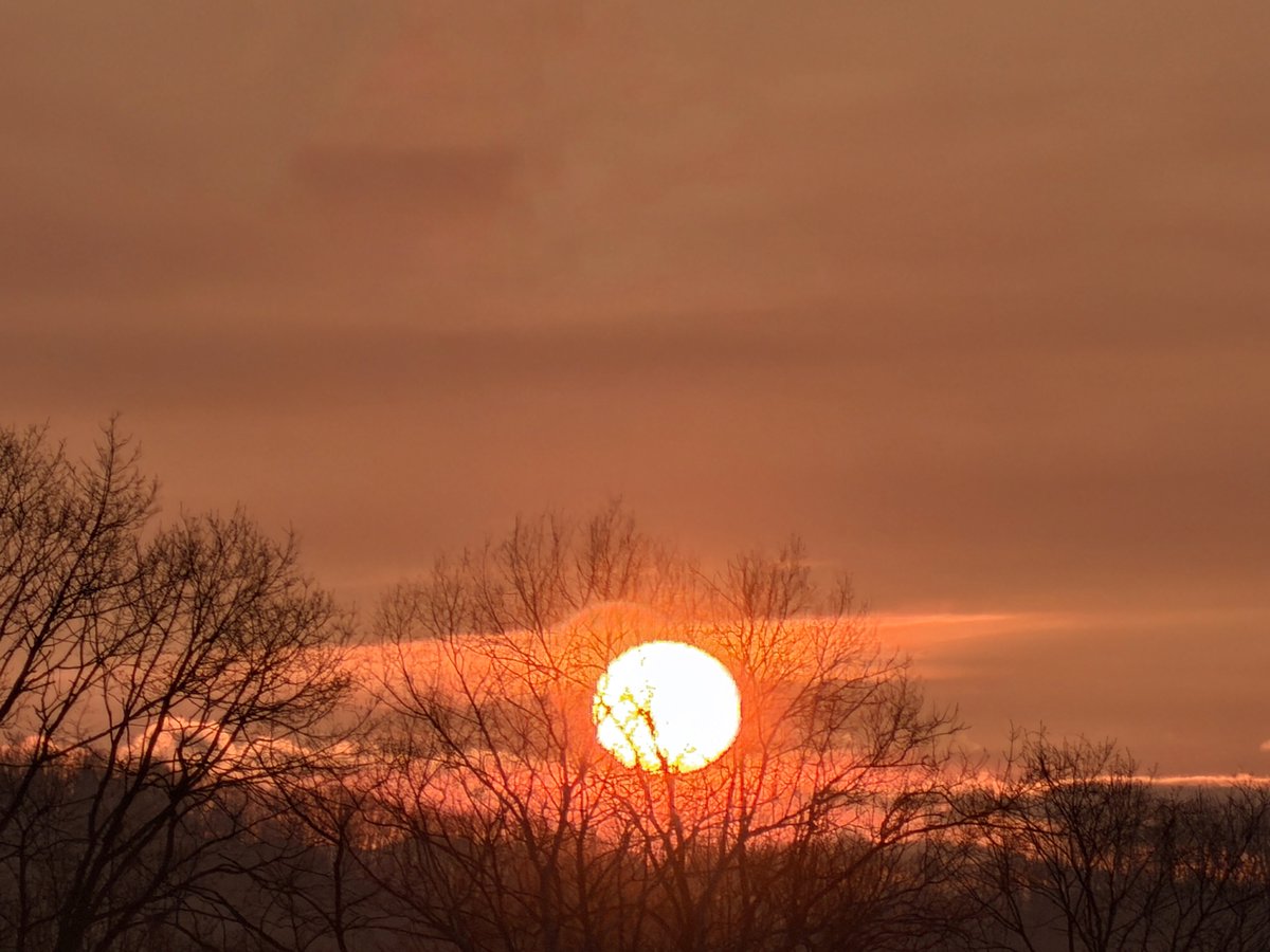 herokey turkay tweet media