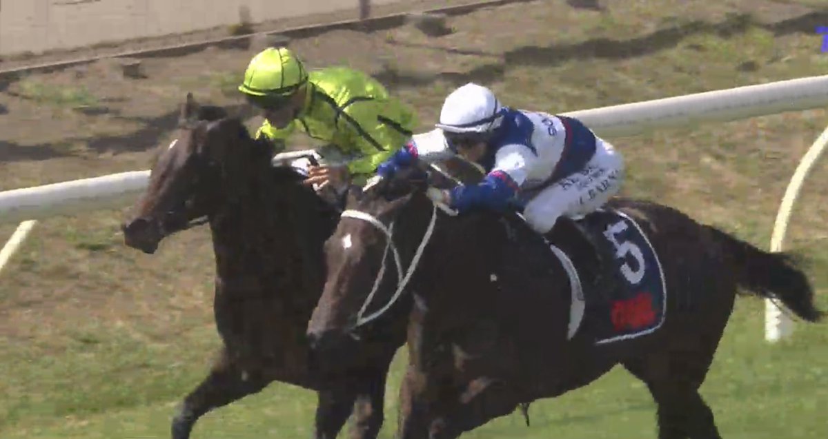 GoRacing tweet media