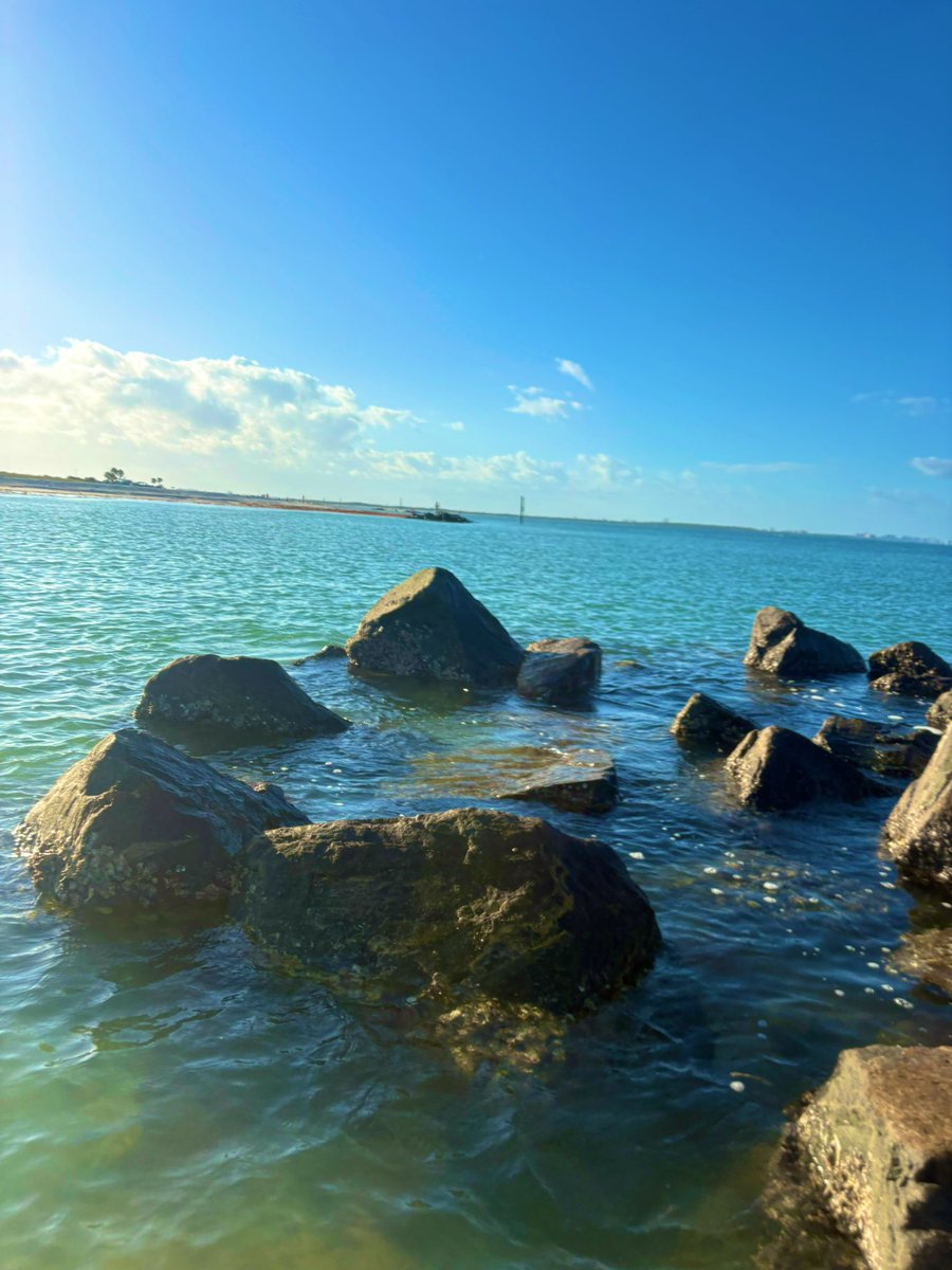 ꧁ basicbeach ꧂ tweet media