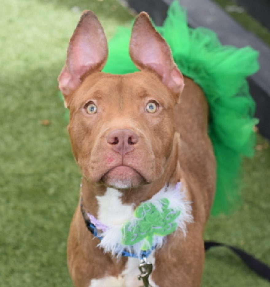 Quinn 💛(G.Quinn Rogers) tweet media