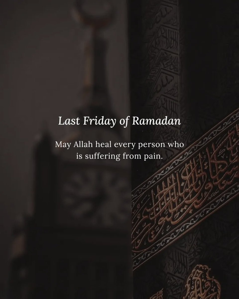 Beesha 🦋 tweet media