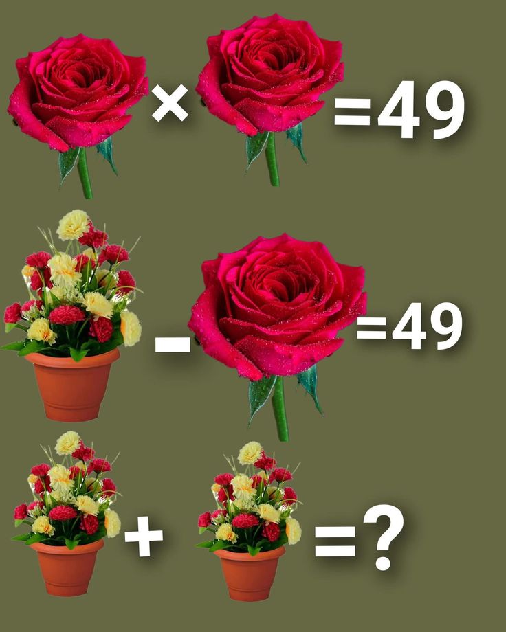 NoorVerse tweet media