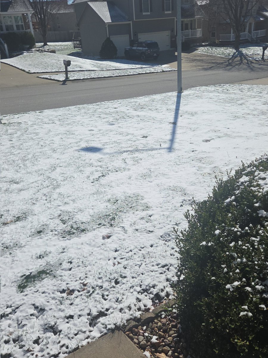 Rod Briggs tweet media