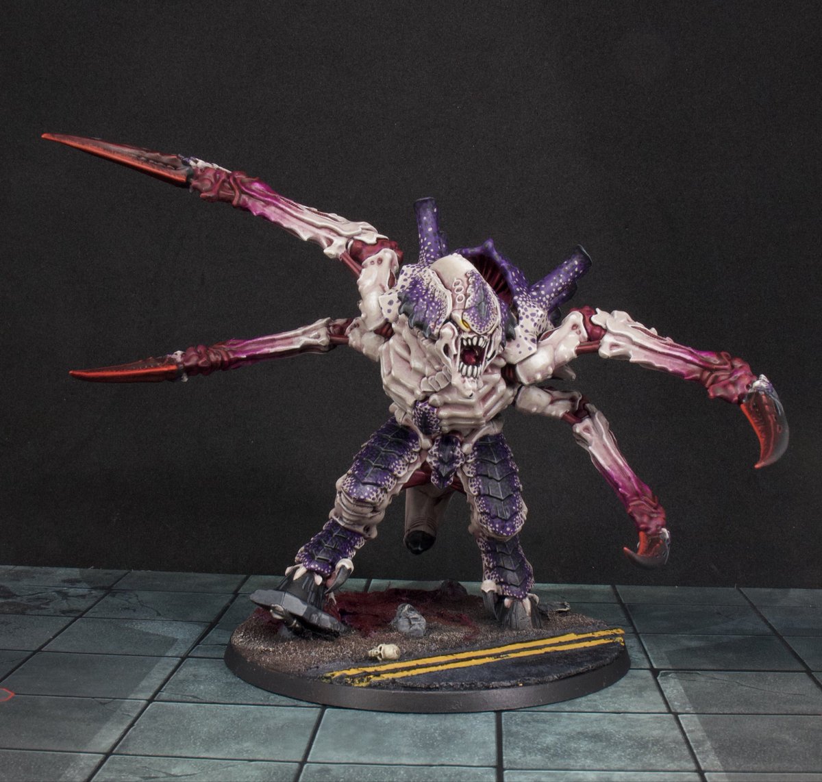 NateHammer 🏴 tweet media