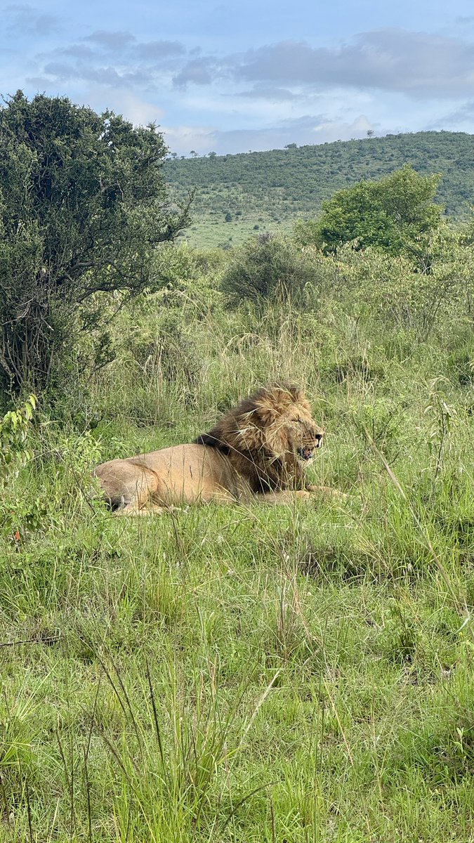 にくタソ tweet media