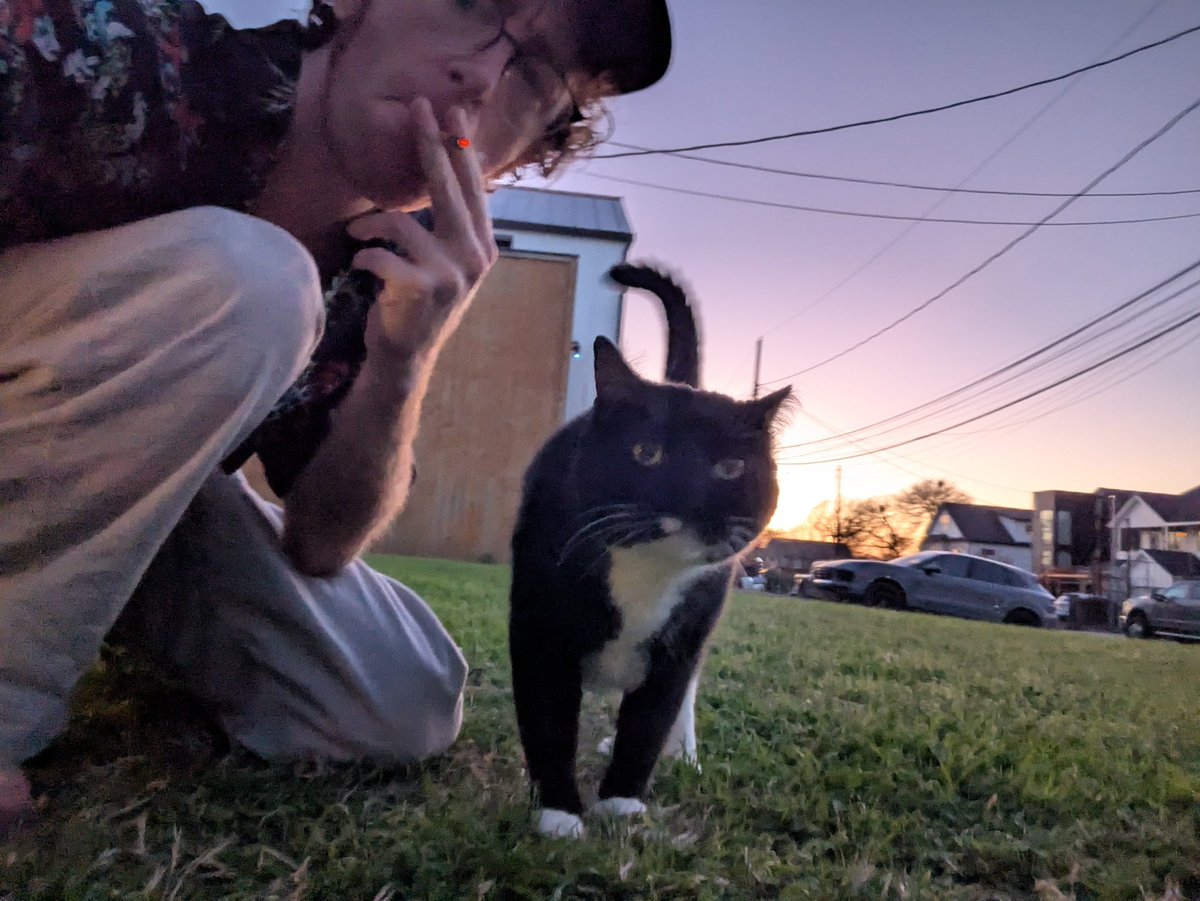 august smith 🛸🔴 tweet media