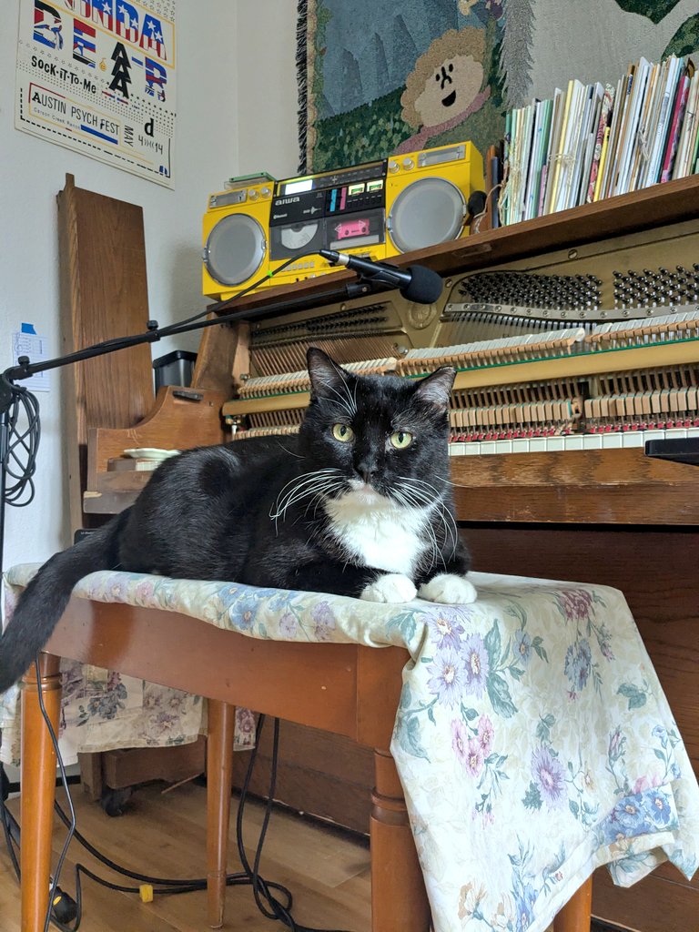 august smith 🛸🔴 tweet media