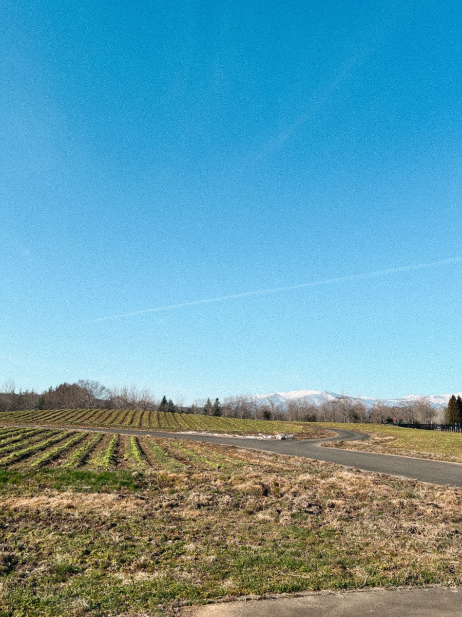 チョコえもん｜宮城県川崎町観光PRキャラクター tweet media