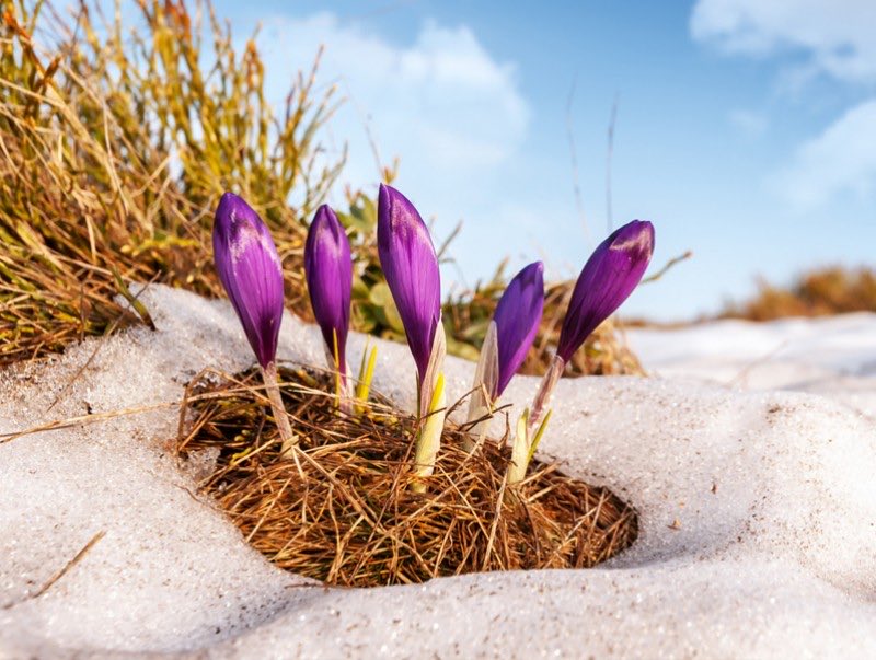 Scorpion 🦂 🦂 🦂 tweet media