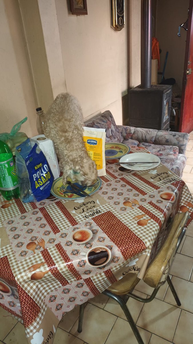 Brandy Birthday Sindrome Tourette tweet media