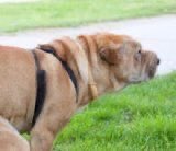 _Ish darh🥵❤️ tweet media