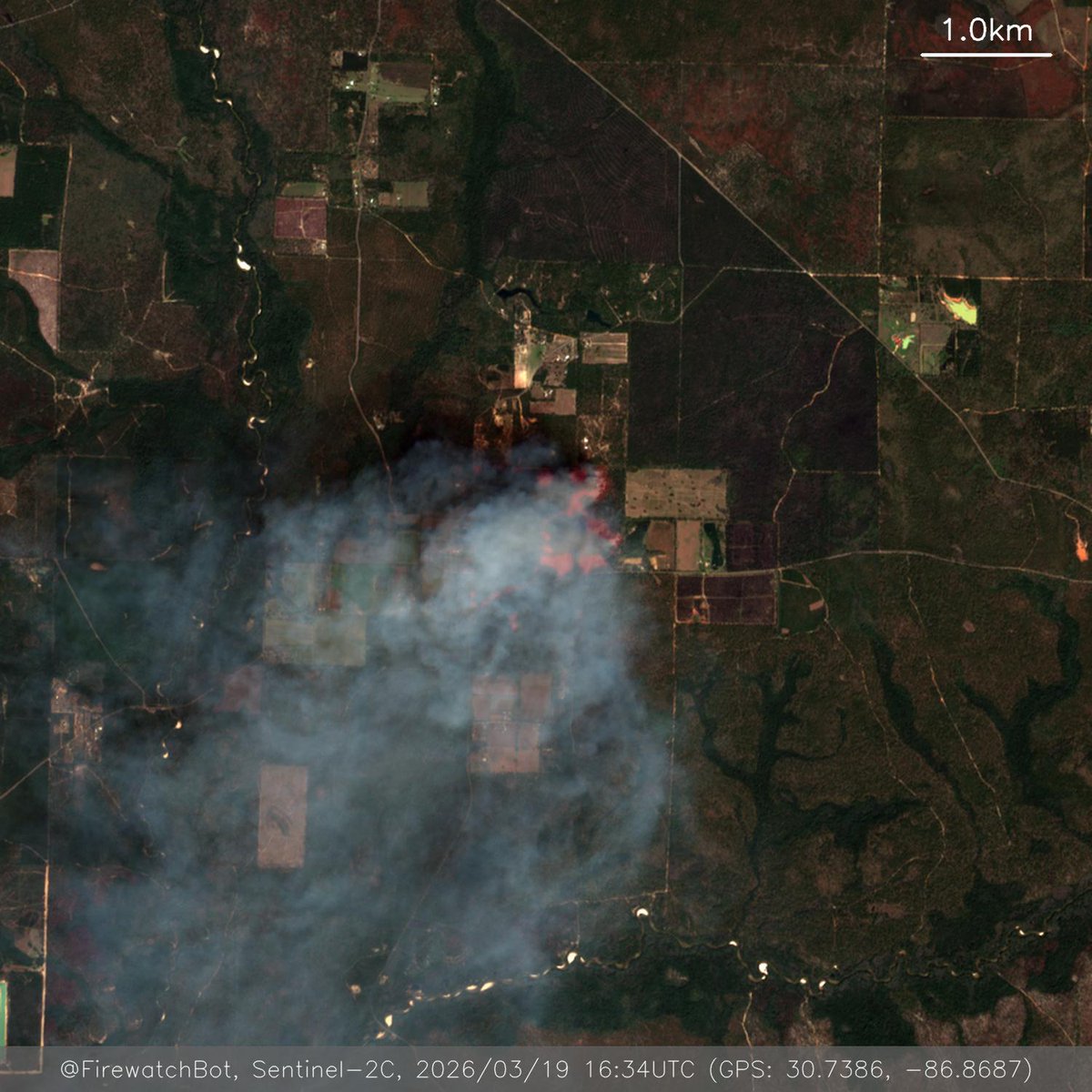 Firewatch Bot 🤖 tweet media