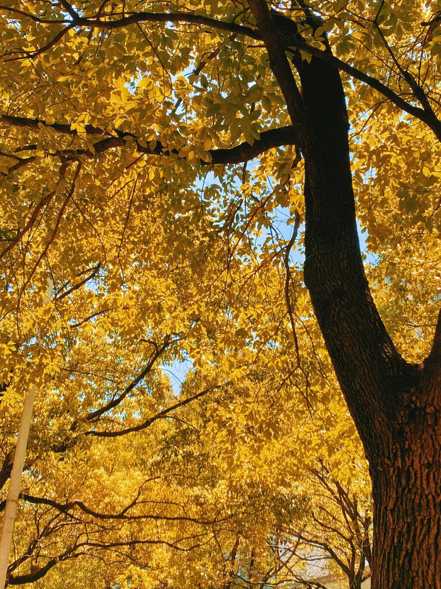 Angels Andreu tweet media