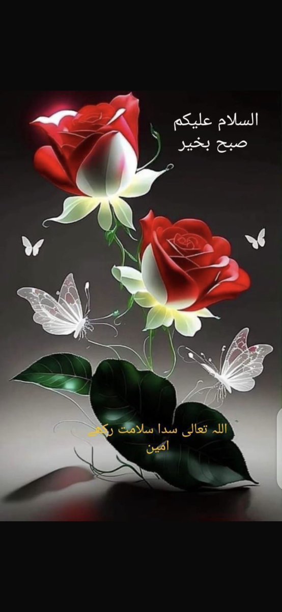 Noor Islam tweet media