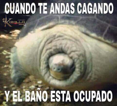 Liliana!! ⭐❤️☕ tweet media