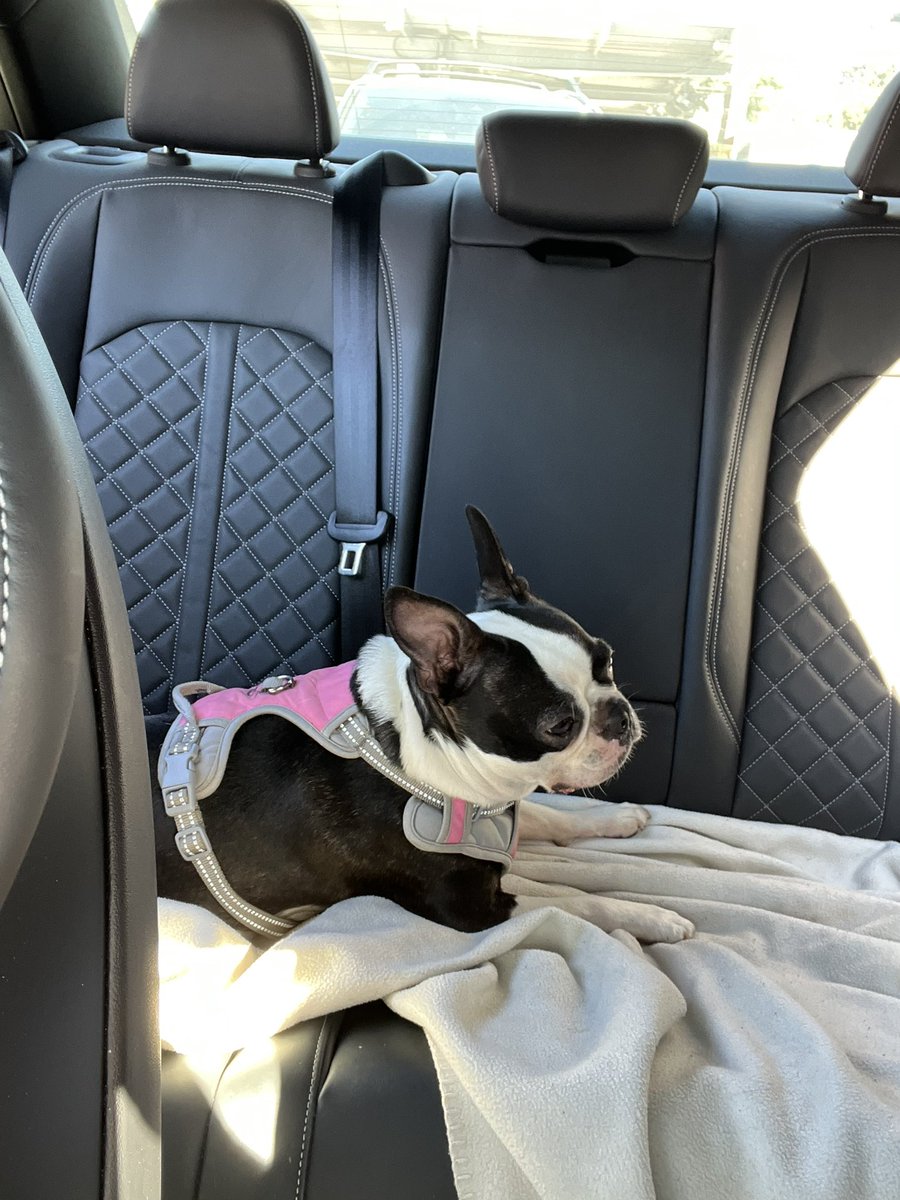 Strawberry tweet media