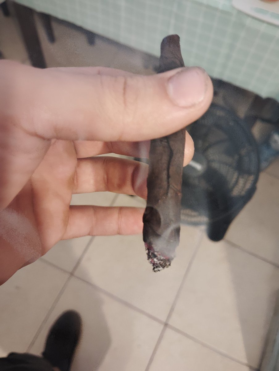 taotaopaipai tweet media