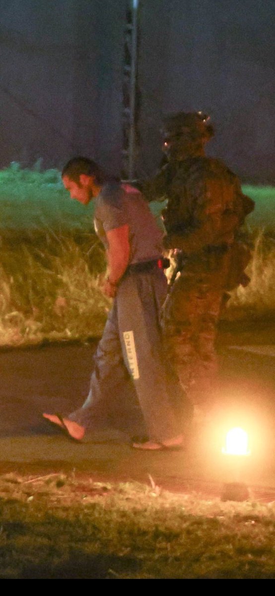 Nanibarbosa tweet media