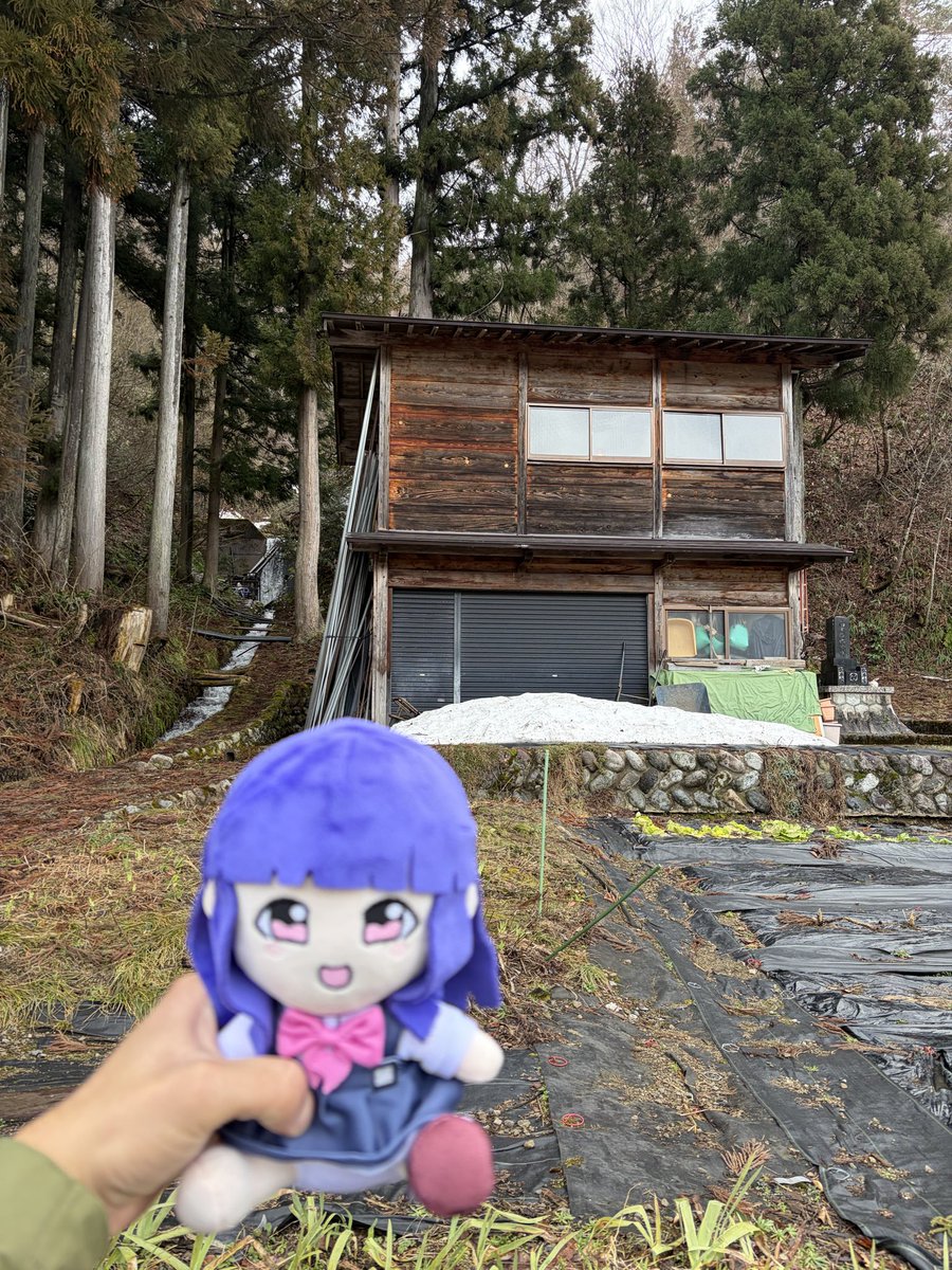 Mauricio tweet media