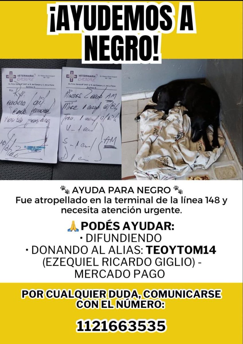 Baires Bondis tweet media