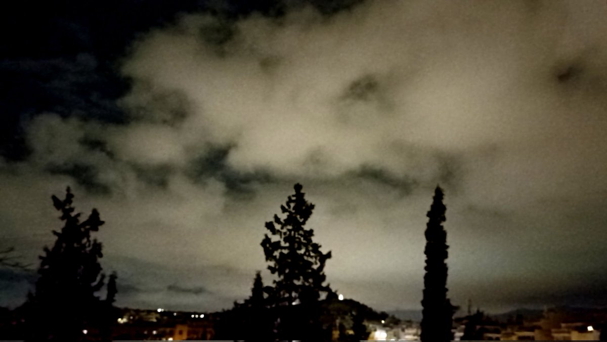 Nike Morgan 🖖🏼🌿✨🏛️🤿☮️ (pron: Niki) tweet media