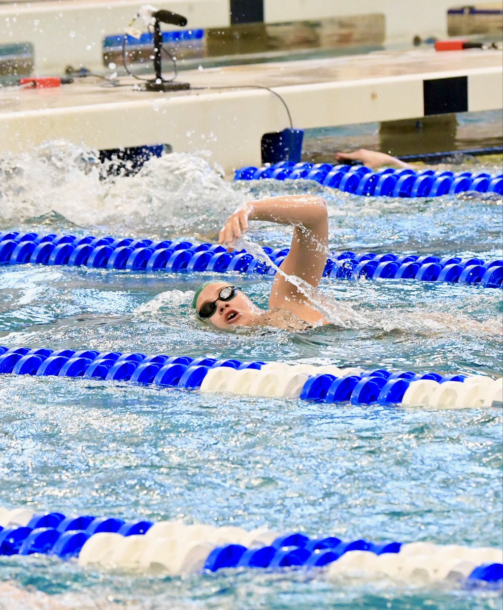 Colorado State Swim & Dive tweet media