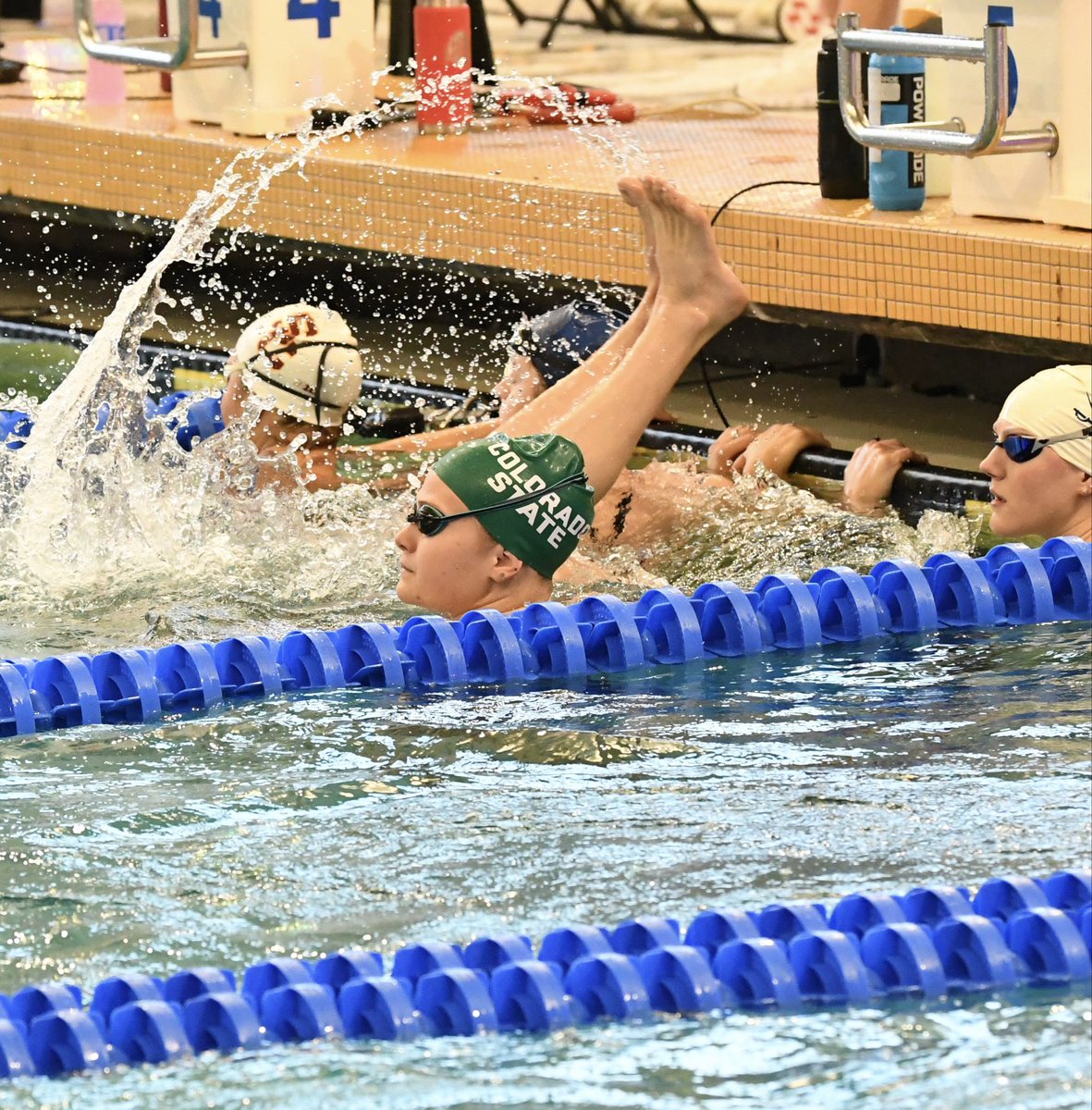 Colorado State Swim & Dive tweet media
