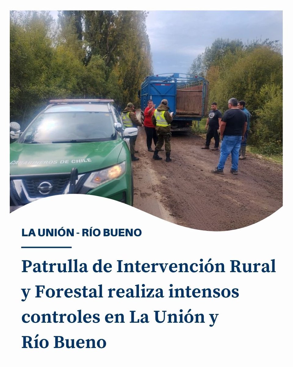 Diario El Ranco tweet media