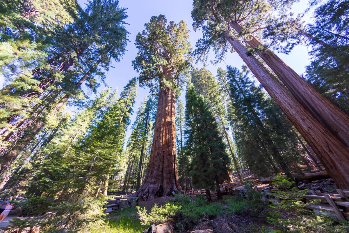 Benji Backer tweet media