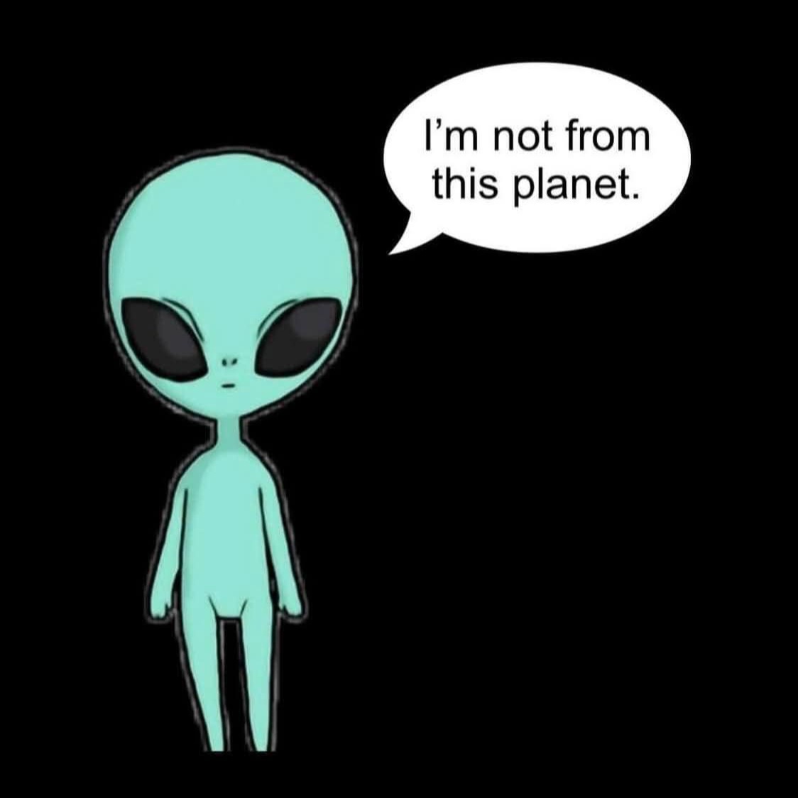 Bernadette Cordeau tweet media