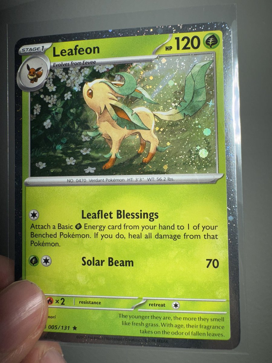 CHANASTY Collectibles tweet media