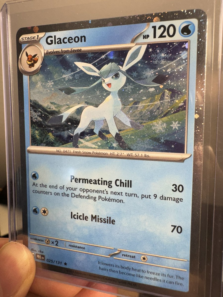 CHANASTY Collectibles tweet media