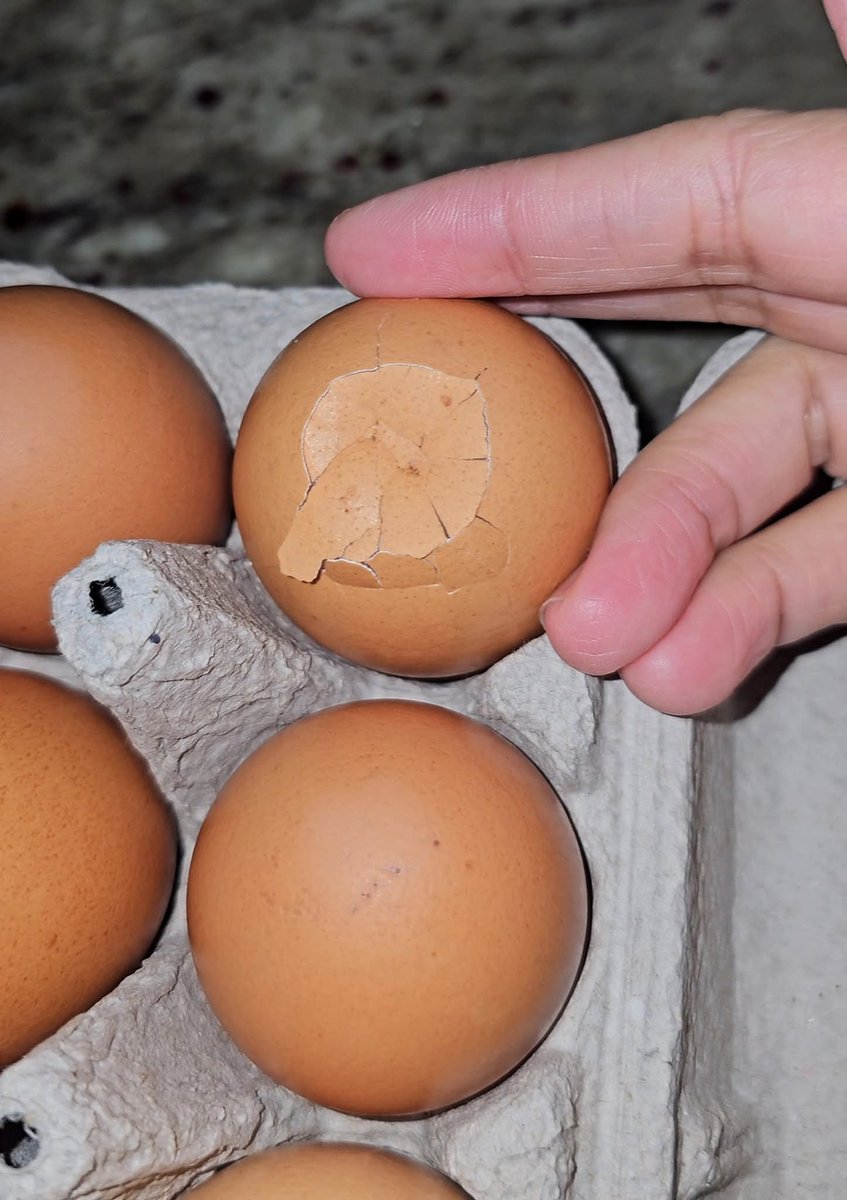 The Husky tweet media